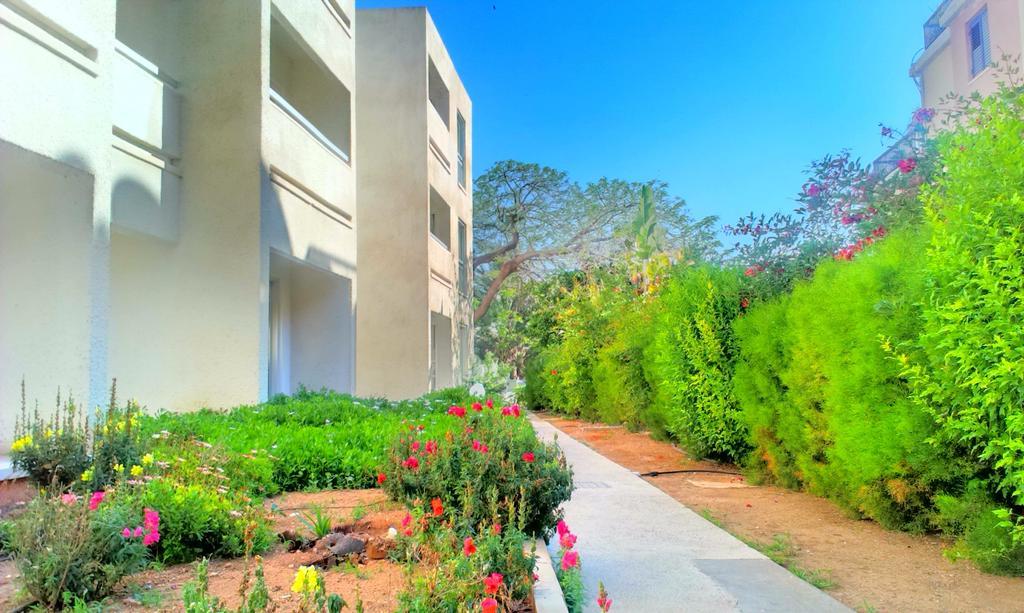 Daphne Hotel Apartments (Adults Only) Paphos Ngoại thất bức ảnh